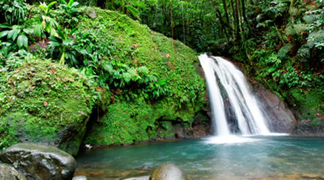 Chute d’eau et végétation luxuriante