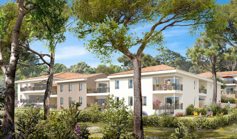 Toulon programme immobilier neuve « Château Rose »