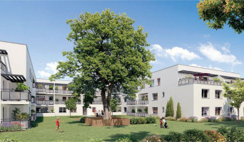 Toulouse programme immobilier neuve « Le Clos du Chêne »  (2)