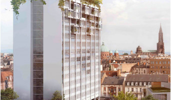 Strasbourg programme immobilier neuve « La Canopée » | Logisneuf (2)