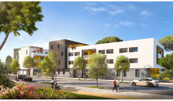 Montpellier programme immobilier neuve « Cista Nova » | Logisneuf (2)
