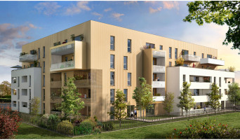 Toulouse programme immobilier neuve « Les Terrasses de l'Ormeau »  (2)