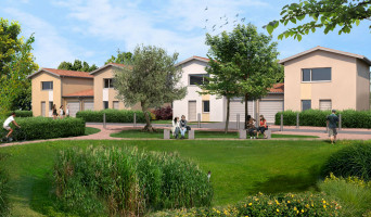 Daux programme immobilier neuve « Le Domaine des Oliviers »  (2)