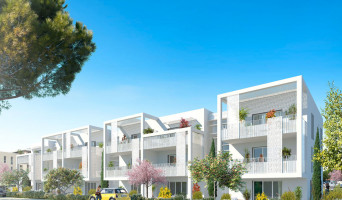 Perpignan programme immobilier neuve « Clos Sant Vicens »  (2)