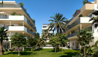 Cannes programme immobilier neuve « Programme immobilier n°215733 »