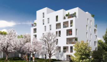 Bordeaux programme immobilier neuve « Mandala »  (2)