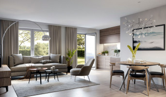 Brou-sur-Chantereine programme immobilier neuve « Renaissance »  (2)