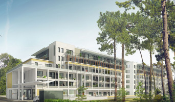 Tours programme immobilier neuve « Les Senioriales de Tours - Parc Grandmont »