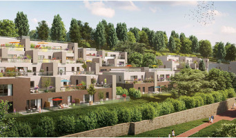 Saint-Cyr-au-Mont-d'Or programme immobilier neuf « Domaine 17eme