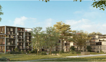 Massy programme immobilier neuve « Les Sequoias - Canopée »