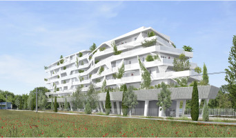 Lattes programme immobilier neuve « Mira »