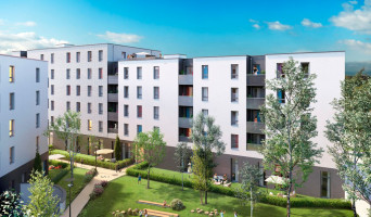 Lille programme immobilier neuve « Edenium »  (2)