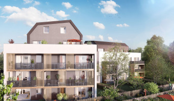 Strasbourg programme immobilier neuve « Le Carré des Muses »  (2)