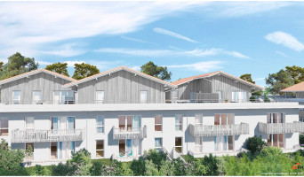 Capbreton programme immobilier neuve « Origin’Air »  (2)