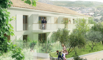 Toulon programme immobilier neuve « Terra Olea »  (2)