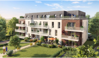 Bailleul programme immobilier neuve « Harmony »  (2)