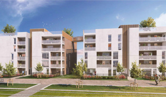 Tours programme immobilier neuve « Rooftop »  (2)