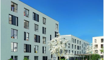 Roubaix programme immobilier neuve « Stud'Campus »  (2)