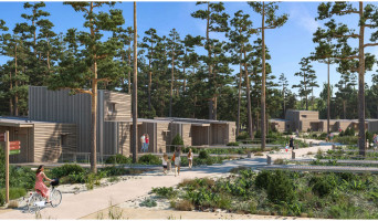 Beauziac programme immobilier neuve « Center Parcs Landes de Gascogne »  (3)