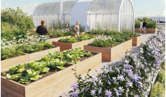 Toulouse programme immobilier neuve « Natura » en Loi Pinel  (4)