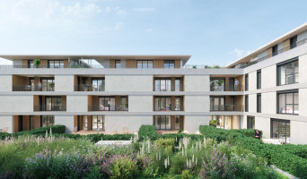 Porto-Vecchio programme immobilier neuve « La Closerie de l'Alivu »  (2)