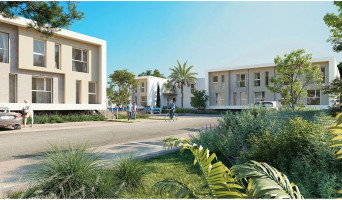 La Teste-de-Buch programme immobilier neuve « Oyat » | Logisneuf (2)