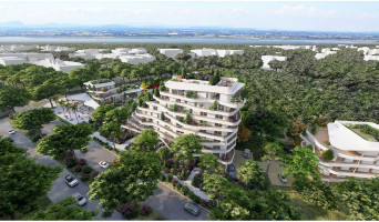 La Grande-Motte programme immobilier neuve « Cobá »  (4)