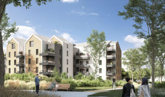 Bruges programme immobilier neuve « Hévéa »  (2)