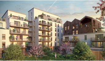 Rennes programme immobilier neuf &laquo; Paloma &raquo; 