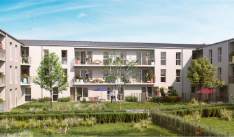 Reims programme immobilier neuve « Alfred &Jules »  (2)