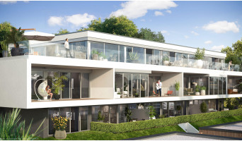 Mont-Saint-Aignan programme immobilier neuve « Le Domaine des Oliviers »  (2)