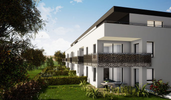 Saint-Louis programme immobilier neuve « L'Orée du Bois » | Logisneuf (2)