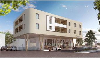 Lattes programme immobilier r&eacute;nov&eacute; &laquo; Nid&ocirc; &raquo; en loi pinel