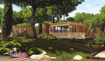 Saint-Cyprien programme immobilier neuve « Eco Village »  (3)