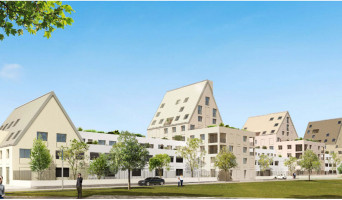 Dijon programme immobilier neuve « Ginkgo Biloba » en Loi Pinel  (4)
