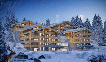 Châtel programme immobilier neuve « Les Cristaux »