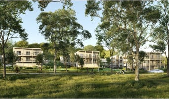 Cornebarrieu programme immobilier neuf « Vallada » en Loi Pinel 