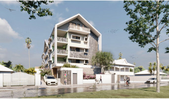 Saint-Paul programme immobilier neuve « Les Roselières » en Loi Pinel  (2)