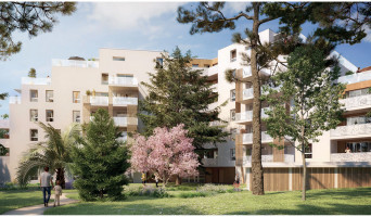 Montpellier programme immobilier neuf «  n°220942 » en Loi Pinel 