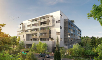 Montpellier programme immobilier neuve « Carré Renaissance » en Loi Pinel  (2)