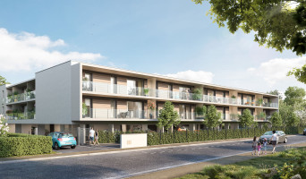 Dunkerque programme immobilier neuve « Le Quai des Roses »  (2)