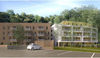 Maxéville programme immobilier neuve « Les Domaines de l'Alérion - Tranche 2 » en Loi Pinel  (2)