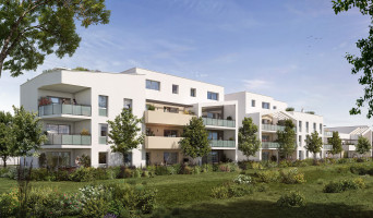 Sauvian programme immobilier neuf « Arborea