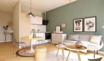 Lyon programme immobilier à rénover « Griffon » en Déficit Foncier  (2)