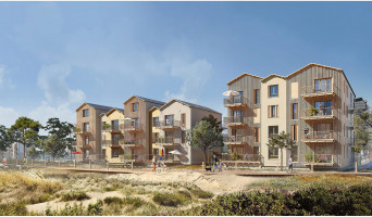 Quend programme immobilier neuf &laquo; Entre Dunes &amp; Pin&egrave;de &raquo; 