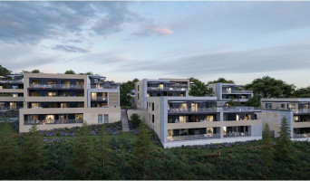 Saint-Didier-au-Mont-d'Or programme immobilier neuve « Contemplation » en Loi Pinel  (2)