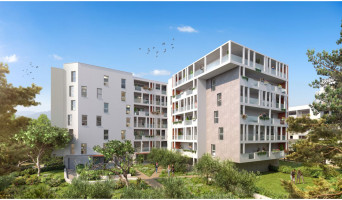 Montpellier programme immobilier neuf &laquo; Carr&eacute; Renaissance - Domaine de Pascalet Tr2 &raquo; en Loi Pinel 