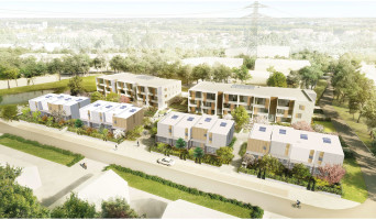 Auzeville-Tolosane programme immobilier neuve « Artemis » en Loi Pinel  (4)