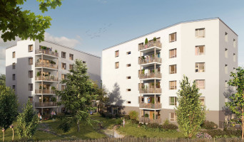Angers programme immobilier neuve « Les Cèdres » en Loi Pinel  (2)