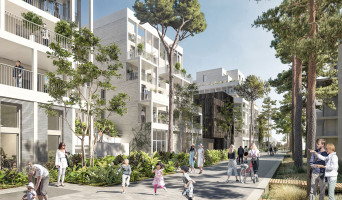 Bordeaux programme immobilier neuve « Noème » en Loi Pinel  (2)